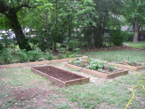All the beds with the newly planted wildflower bed.